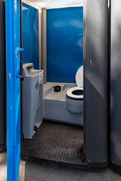 Best Sanitation services for porta potties  in Lake Fenton, MI